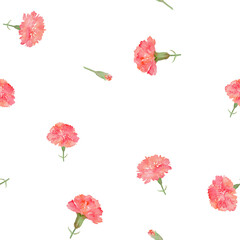 Seamless pattern of watercolor carnation flowers and buds, hand painted floral repeat background for Mother's Day and gift wrapping on transparent background.-300dpi-	