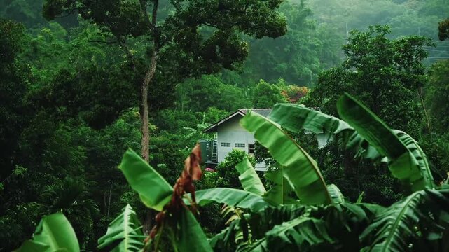 This Nature Rain Video Near House captures a peaceful and authentic moment of everyday life as rain gently falls around a residential environment surrounded by nature. The footage beautifully blends n