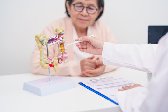 Elderly woman Patient consultation with doctor for Colon disease, Large Intestine, Colorectal cancer, Ulcerative colitis, Diverticulitis, Irritable bowel syndrome, Digestive system and Healthcare