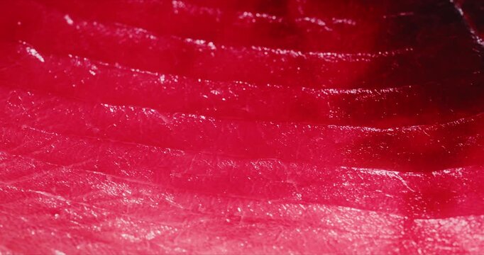 おいしそうな新鮮なピンクと赤色のマグロの赤身のアップ　大トロ中トロ赤身の表面　日本・和食・寿司・刺身の背景　和風の食材　油の乗った魚の身