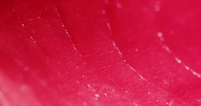 おいしそうな新鮮なピンクと赤色のマグロの赤身のアップ　大トロ中トロ赤身の表面　日本・和食・寿司・刺身の背景　和風の食材　油の乗った魚の身