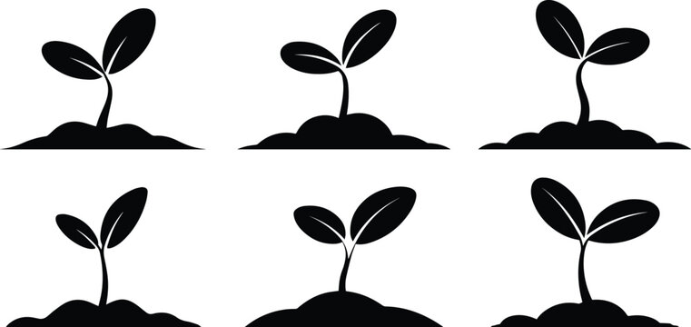 Set of Minimalist black young plant sprout growing from ground silhouette vector icon