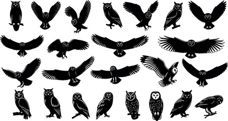 Big set of black owl silhouettes vector illustration collection showing birds flying perched and hunting isolated on a white background © BIPUL