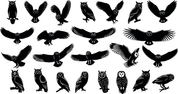 Big set of black owl silhouettes vector illustration collection showing birds flying perched and hunting isolated on a white background