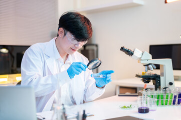 Fototapeta premium Scientist researcher man holds magnifying glass looking at test sample dish aside microscope in lab.