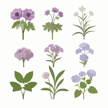 Realistic 3D ornamental flower collection isolated on white background botanical plants