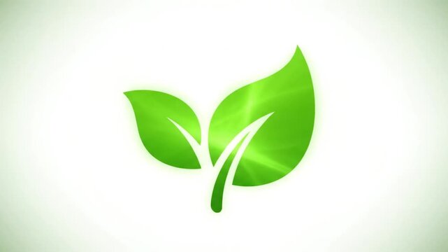 Green Leaves Logo Animation on White.