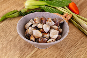 Raw fresh wild clams mollusc © Andrei Starostin
