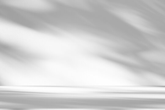 backdrop, background, blank, blur, bright, cement, abstract, composition, concrete wall, design, display, empty, floor, frame, geometric, gery, gradient, graphic, gray, indoor, interior, leaves, light
