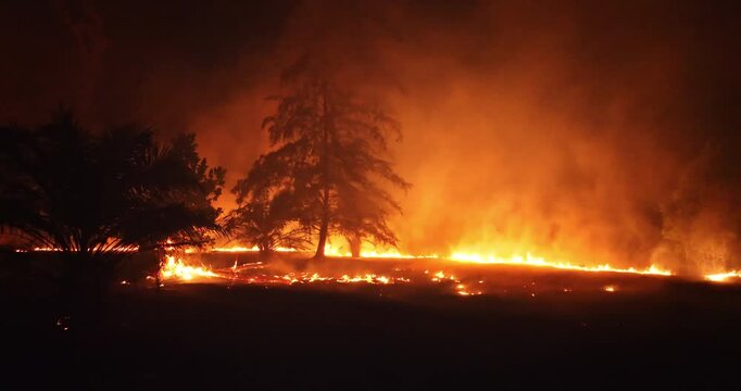 Wildfire burning forest at night, casting an orange glow across the dark landscape and creating thick smoke, representing an ecological disaster and climate change impact. Drone flight zoom in