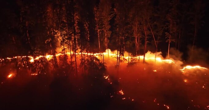 Wildfire engulfing a forest trees at night, flames spreading across the dry undergrowth and consuming trees, creating an ecological disaster with intensive heat glow and thick smoke. Aerial drone shot
