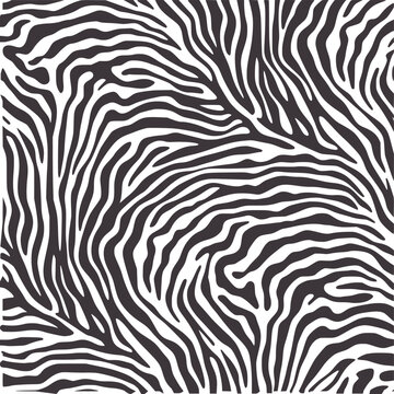 Seamless monochrome zebra stripe pattern texture stripes black