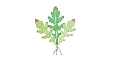 Fototapeta premium Three Arugula Leaves with Brown Tips
