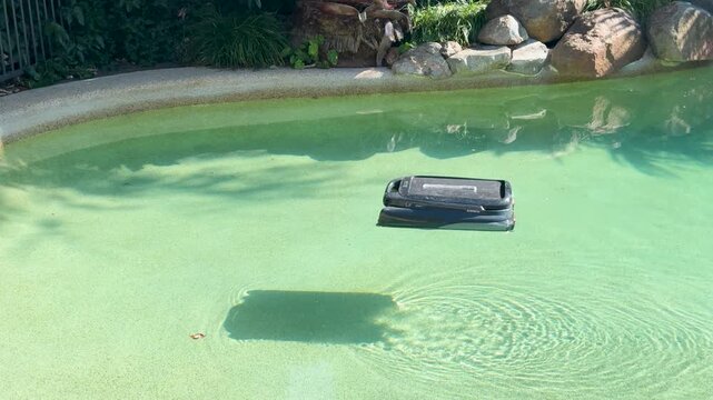 Automatic Robotic Pool Cleaner Moving Across a Residential Swimming Pool