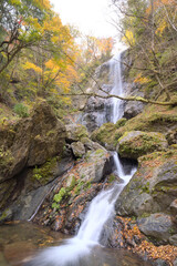 宮崎県五ヶ瀬町、白滝