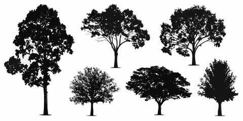 Obraz premium A collection of silhouetted trees with varying shapes and foliage
