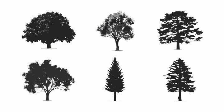 Silhouettes of various tree types against a plain white background