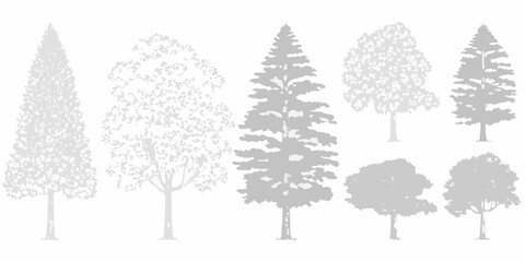 A collection of silhouetted coniferous and deciduous trees in grayscale © Bijoy