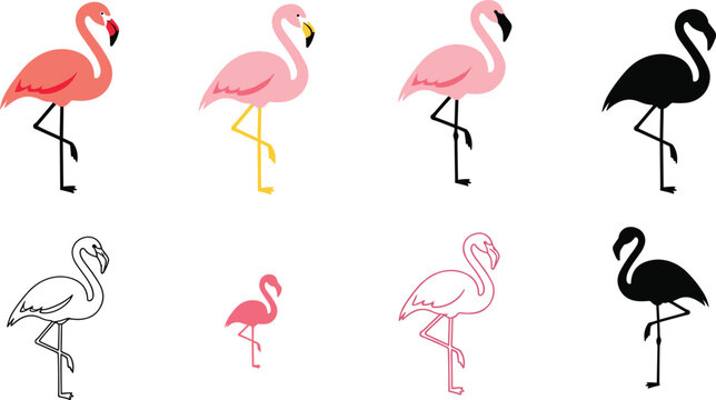 Flamingo bird vector set. Pink flamingos in multiple styles including flat, outline, silhouette, and minimal icons. Perfect for logos, branding, patterns, and tropical designs.