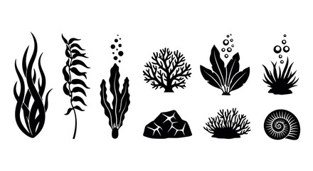Aquatic plants and coral reef elements, seaweed, anemone, rock, seashell, bubbles, underwater flora and fauna for aquarium or ocean decor © Vaxipro