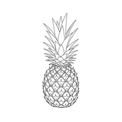Pineapple Drawing Isolated on White Background