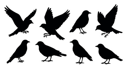 Collection of bird silhouettes showing various landing, perching, and wing spread poses for avian illustration