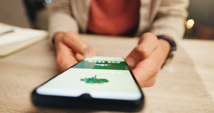 Phone screen, eco website and hands at desk, sustainability promotion or green business homepage. About us info, web design or person with mobile for nature friendly marketing, brand values or vision