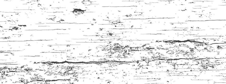 Grunge distressed texture overlay of birch tree bark pattern Black and white vintage vector background graphic resource