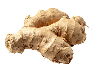 A rough-skinned, earthy brown rhizome with knobby protrusions, isolated