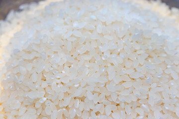 たくさんの白い米粒