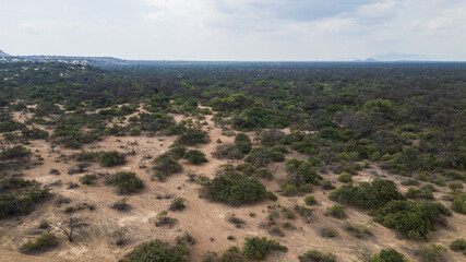 Aerial drone panoramic landscape near the Bosque de P&oacute;mac in Lambayeque, Peru, featuring natural scenery, forests, and agricultural fields close to rural towns and cities.