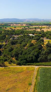 Vertical video. Tevfikiye, Turkey. Aerial view of the Pillar House and other freestanding structures of Troy VI, their stone foundations surrounded by green. Aerial view. Rich colors