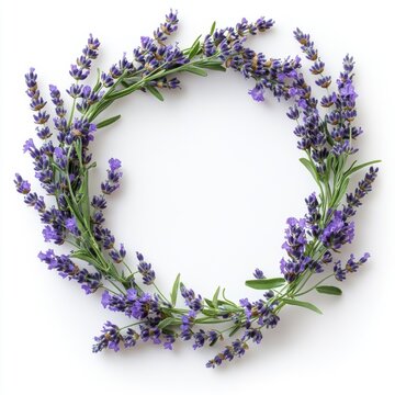 Lavender stems arranged in a decorative wreath frame, isolate on white background.