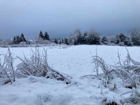 Landschaft l&auml;ndlich im Winter mit Schnee fr&uuml;h morgens zur blauen Stunde