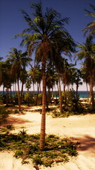 A sandy beach with tall palm trees lining the shore and the vast ocean stretching into the horizon in the background.