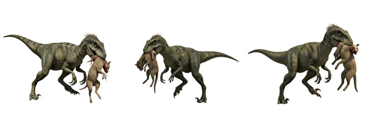 Velociraptor Dinosaur Set Isolated on White Background – Realistic Prehistoric Predator © Ibrar