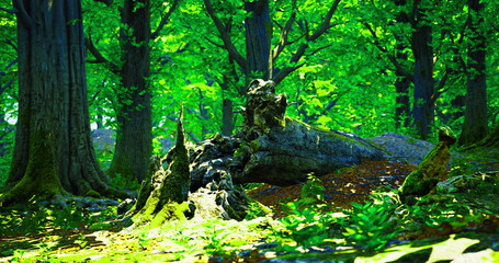 Fototapeta premium sunlit mossy forest floor with log, fallen stump crowned with young fern and lichen, dense canopy filtering warm dappled light, vibrant green foliage, quiet