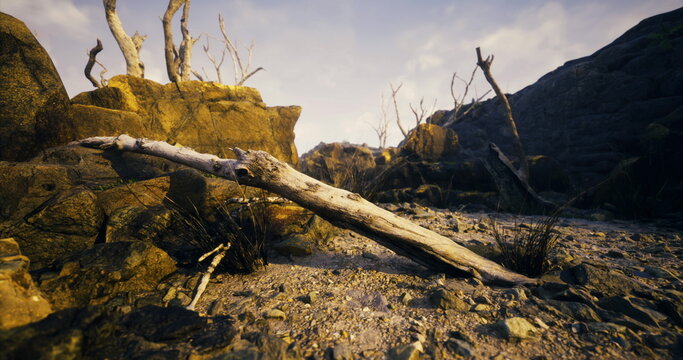 sunlit arid ravine with fallen log, rocky gully and cracked silt under warm golden light, twisted dead trees on sandstone outcrops, atmospheric shadows creating