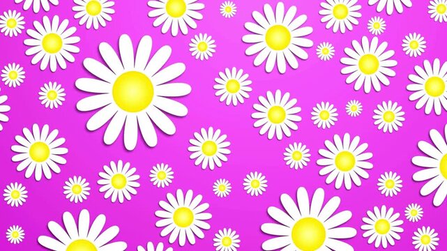 Vibrant pink background with white daisies pattern