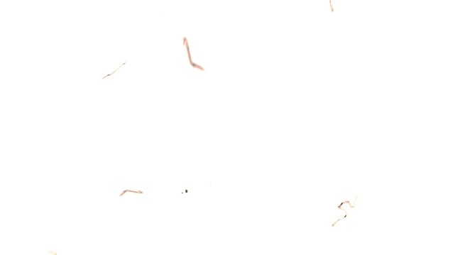 Old film grain overlay. Vintage film effect