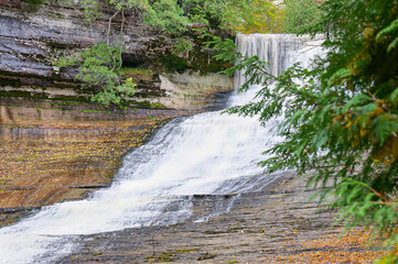 waterfall in the forest