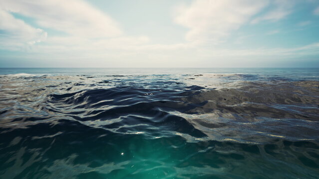 wide coastal horizon with gentle swell and soft reflections, clear visibility across vast water, inviting palette for travel, conservation and lifestyle