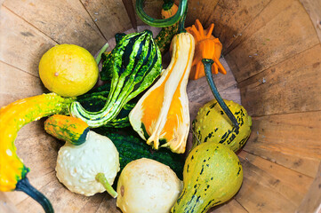 vegetables in a wooden basket