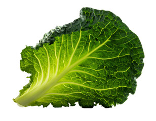 Vibrant green leaf with intricate veins and ruffled edges, isolated