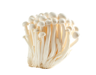 Cluster of delicate white enoki mushrooms on black background