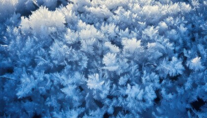 Fototapeta premium Frozen Beauty - Intricate Ice Crystals Forming a Delicate Pattern.