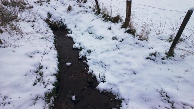 Wide shot of snowy polder landscape with narrow stream and pollard willow trees in Gelderland.
