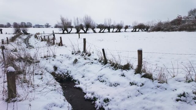 Rural dutch farmland covered in fresh snow with row of willow trees and small drainage ditch.