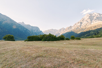 Obraz premium Meadow mountains valley shrubs grassland nature landscape alpine scenic outdoor view of open field with low bushes and distant sunlit peaks under clear sky for travel and calm.