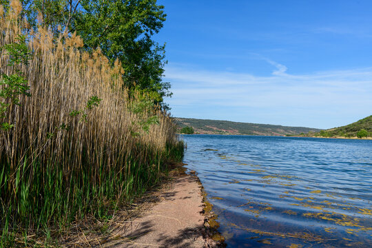 A slender trail hugs the edge of Lac de Salagou, bordered by tall golden reeds and clear blue water under a bright sky. The scene feels tranquil and natural, with distant hills and lush greenery.